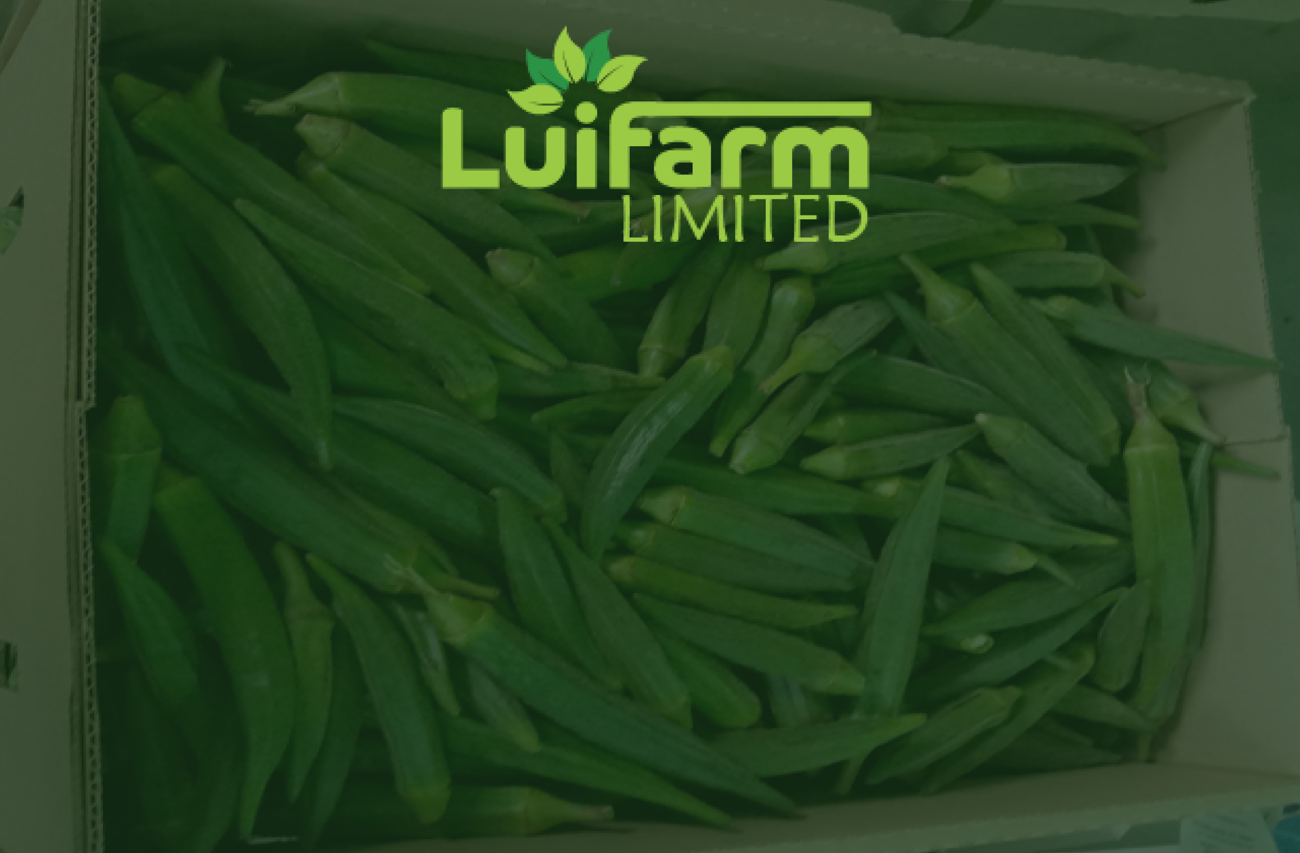 Asian Veges